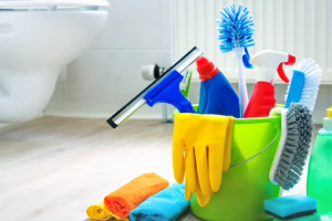 Messie Reinigung Rüsselsheim Am Main